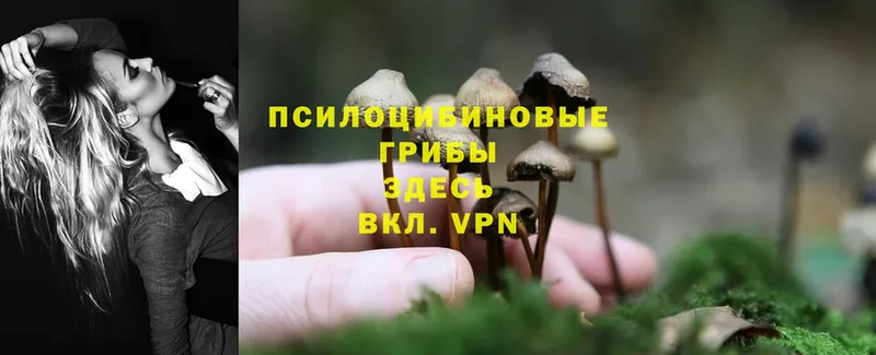 Галлюциногенные грибы MAGIC MUSHROOMS  hydra ссылки  Козельск  где продают  